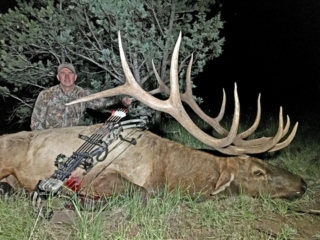 David Blanton Elk