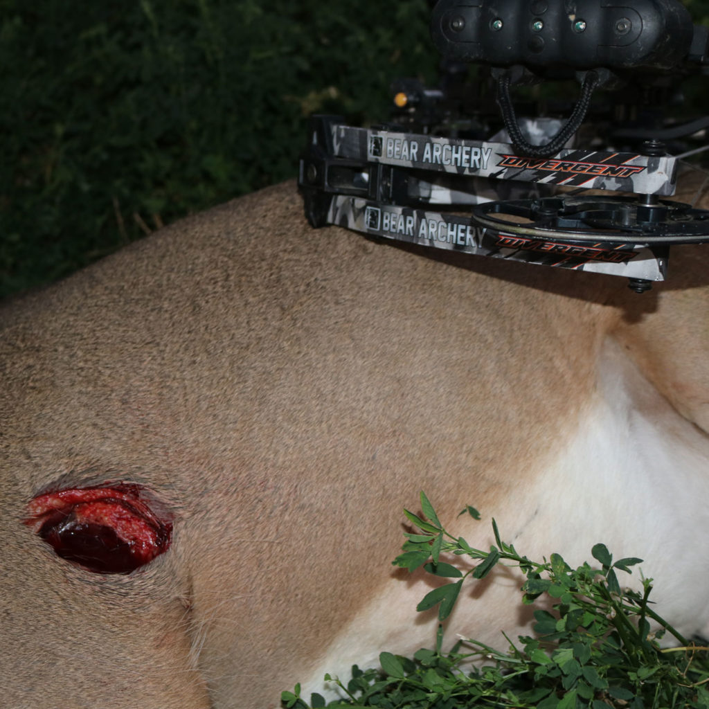 dk4-shot-bowhunt
